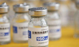 獸藥青霉素的安全用法 低成本、高效用藥指南
